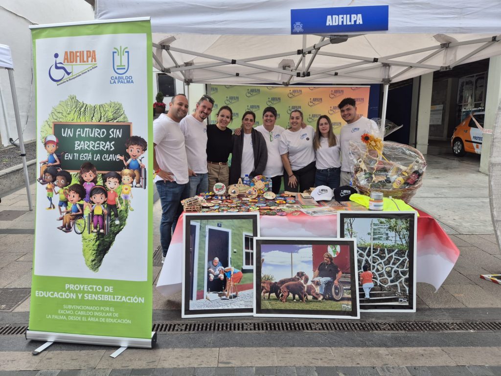 Feria del Voluntariado Los Llanos (14-12-2024) (4)